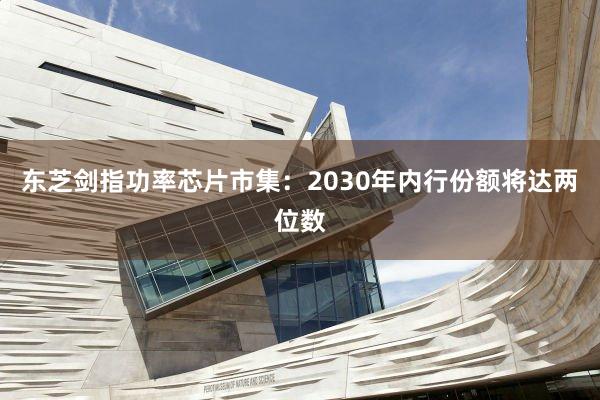 东芝剑指功率芯片市集：2030年内行份额将达两位数