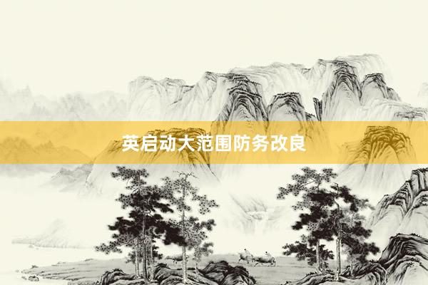 英启动大范围防务改良