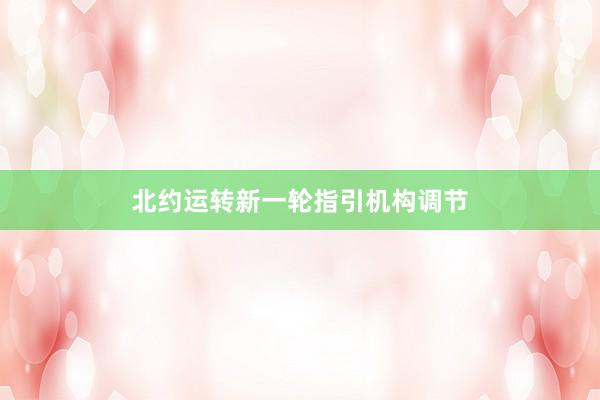 北约运转新一轮指引机构调节