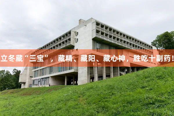立冬藏“三宝”，藏精、藏阳、藏心神，胜吃十副药！