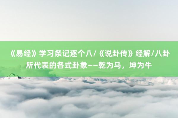 《易经》学习条记逐个八/《说卦传》经解/八卦所代表的各式卦象——乾为马，坤为牛