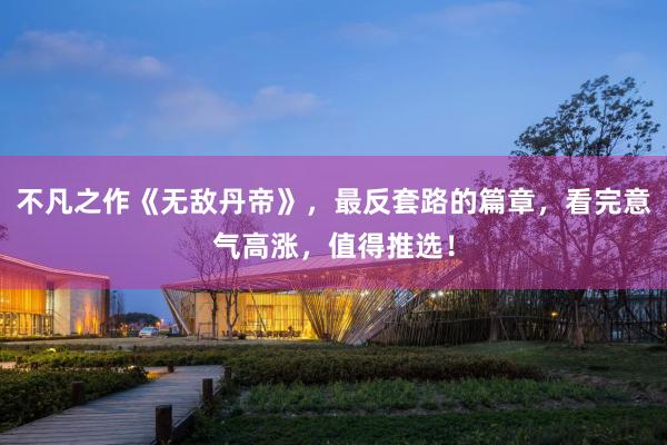 不凡之作《无敌丹帝》，最反套路的篇章，看完意气高涨，值得推选！