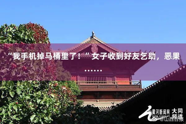 “我手机掉马桶里了！”女子收到好友乞助，恶果……