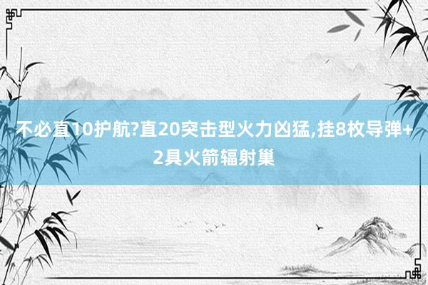 不必直10护航?直20突击型火力凶猛,挂8枚导弹+2具火箭辐射巢
