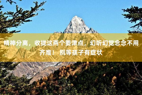 精神分离，收拢这两个要津点，幻听幻觉念念不用齐难！ 别等孩子有症状