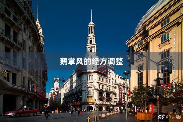 鹅掌风的经方调整