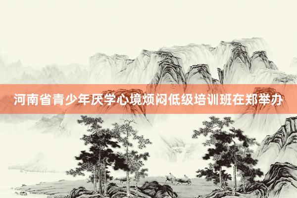 河南省青少年厌学心境烦闷低级培训班在郑举办