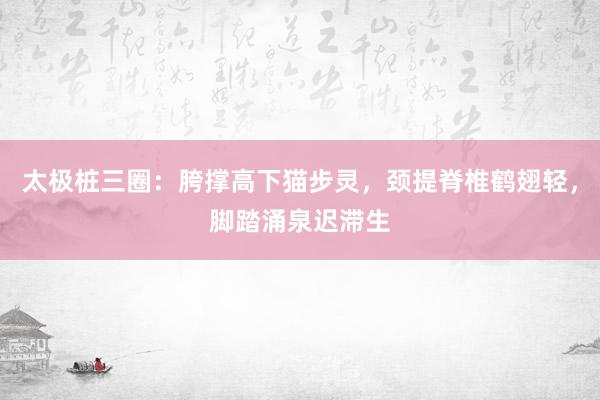 太极桩三圈：胯撑高下猫步灵，颈提脊椎鹤翅轻，脚踏涌泉迟滞生