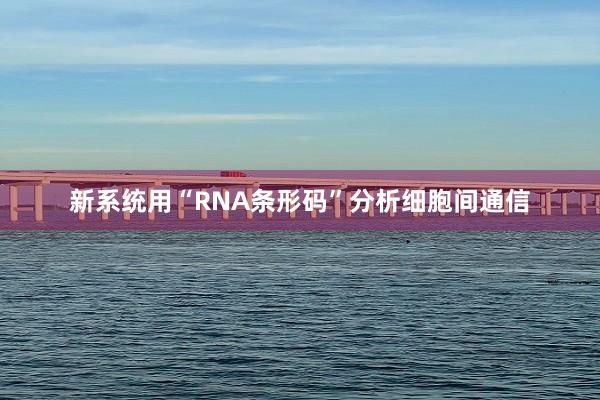 新系统用“RNA条形码”分析细胞间通信