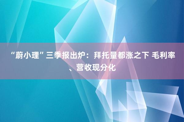 “蔚小理”三季报出炉：拜托量都涨之下 毛利率、营收现分化