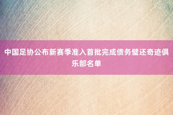 中国足协公布新赛季准入首批完成债务璧还奇迹俱乐部名单