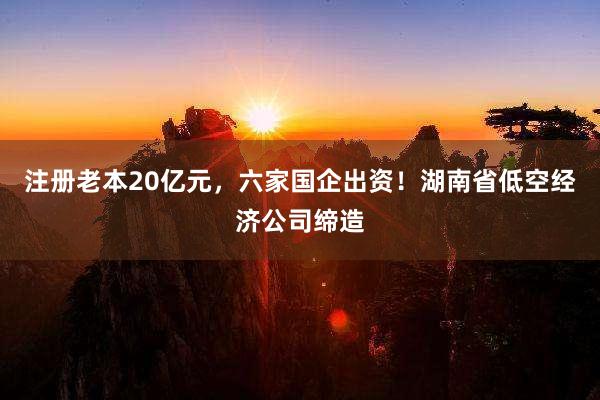 注册老本20亿元，六家国企出资！湖南省低空经济公司缔造