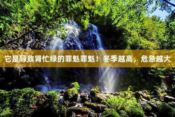 它是导致肾忙绿的罪魁罪魁！冬季越高，危急越大
